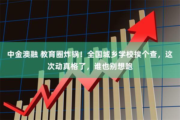 中金澳融 教育圈炸锅！全国城乡学校挨个查，这次动真格了，谁也别想跑